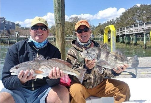 Black Drum, Redfish Fishing in Trails End, North Carolina