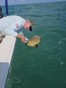 Goliath Grouper Fishing in Port Orange, Florida