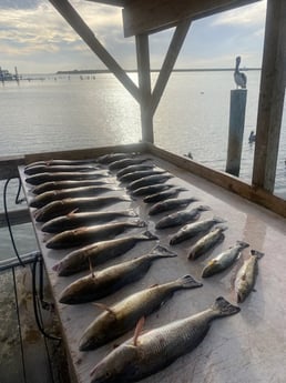 Redfish, Speckled Trout Fishing in Ingleside, Texas
