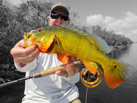 Fishing in Pembroke Pines, Florida