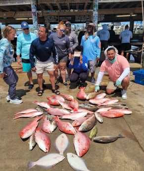 Flounder, Largemouth Bass, Red Snapper, Redfish, Sheepshead Fishing in Boothville-Venice, LA, USA