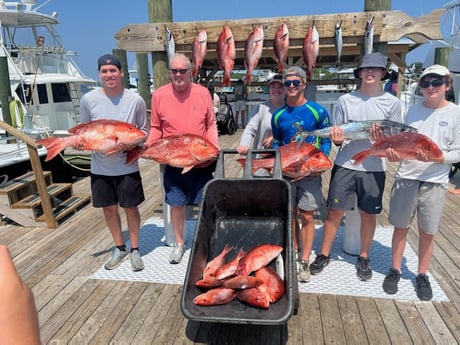 False Albacore, Kingfish, Red Snapper Fishing in Orange Beach, Alabama