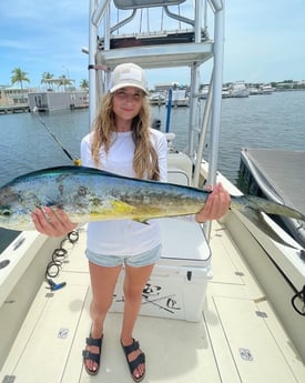Mahi Mahi Fishing in Tampa, Florida