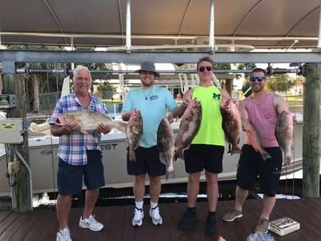 Red Grouper fishing in Cape Coral, Florida