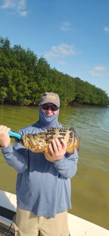 Fishing in Islamorada, Florida