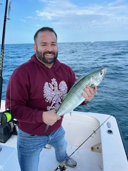 Bonito Fishing in Beaufort, North Carolina