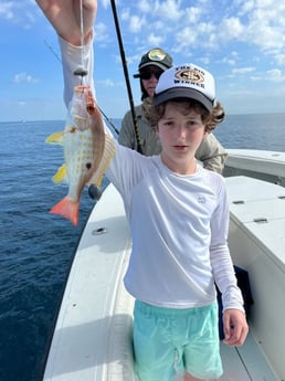 Lane Snapper Fishing in Jupiter, Florida