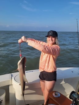 Lemon Shark Fishing in Galveston, Texas