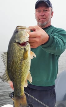 Smallmouth Bass fishing in Saint Bernard, Louisiana