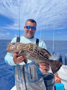 Black Grouper Fishing in Clearwater, Florida