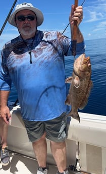 Warsaw Grouper fishing in Pensacola, Florida
