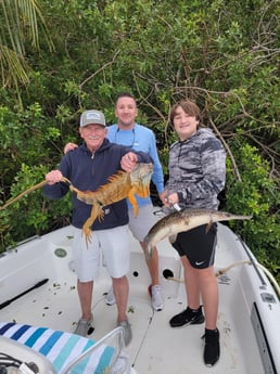 Longnose Gar, Iguana Fishing in Delray Beach, Florida