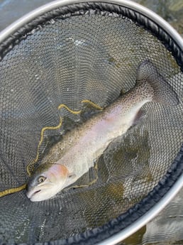Fishing in Hume, California
