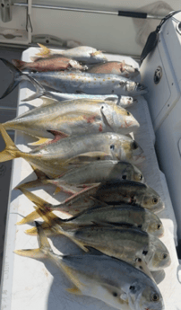 Fishing in Miami, Florida