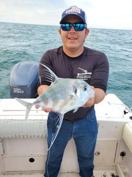 Roosterfish fishing in Clearwater, Florida