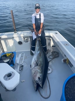 Bluefin Tuna fishing in Nantucket, Massachusetts