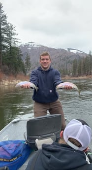 Brown Trout fishing in Deer Lodge, Montana