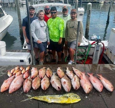 Lane Snapper, Mahi Mahi, Red Grouper, Red Snapper Fishing in Clearwater, Florida