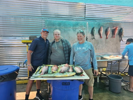 Amberjack, Mahi Mahi, Red Snapper Fishing in Destin, Florida