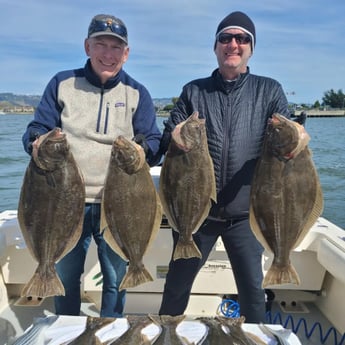 Flounder, Hybrid Striped Bass Fishing in Bodega Bay, California
