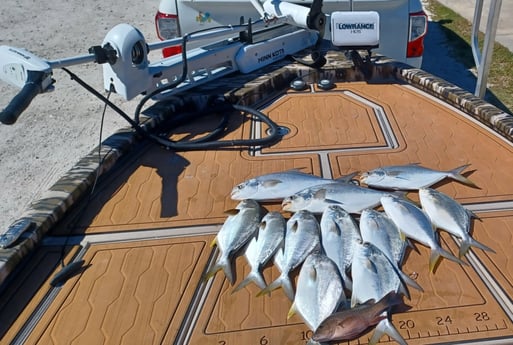 Florida Pompano, Mangrove Snapper Fishing in Port Orange, Florida