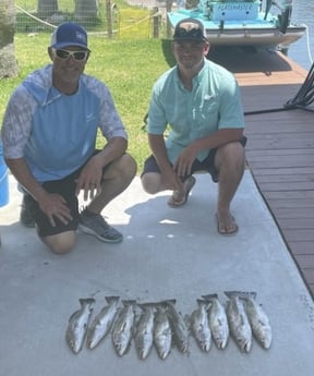Speckled Trout Fishing in Bolivar Peninsula, Texas
