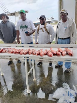 Vermillion Snapper Fishing in Jacksonville, Florida