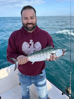 Bonito Fishing in Beaufort, North Carolina