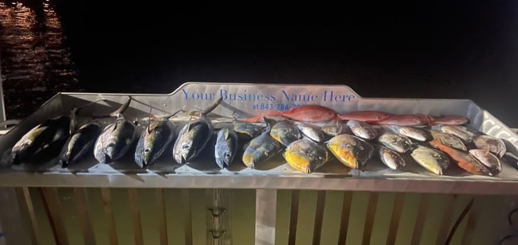 Blackfin Tuna, Triggerfish, Vermillion Snapper Fishing in Mount Pleasant, South Carolina