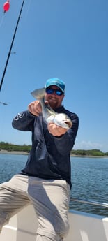 Redfish fishing in Johns Island, South Carolina