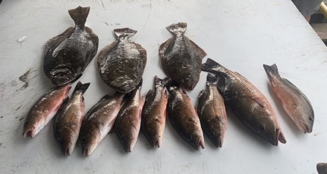 Flounder, Mangrove Snapper Fishing in Pensacola, Florida