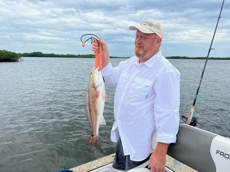Redfish Fishing in Crystal River, Florida