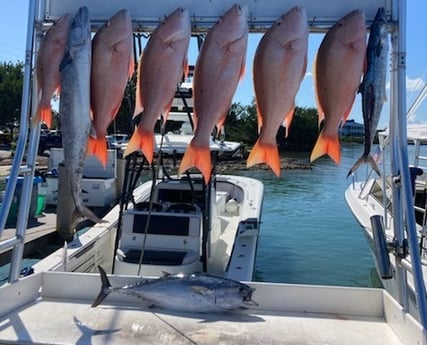False Albacore, Kingfish, Mutton Snapper Fishing in Marathon, Florida