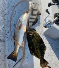 Black Drum, Flounder, Redfish Fishing in Ingleside, Texas