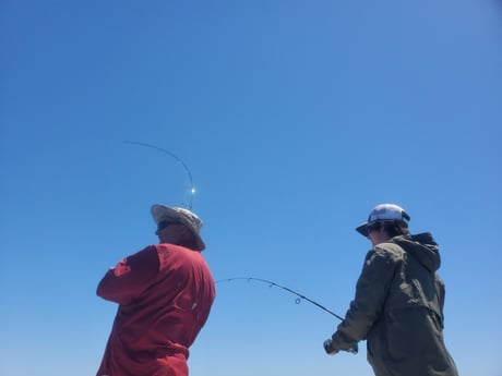 Fishing in Mount Pleasant, South Carolina