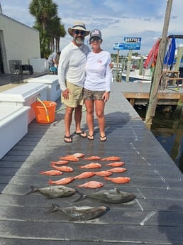 Amberjack, Vermillion Snapper Fishing in Panama City Beach, Florida