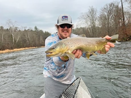 Brown Trout Fishing in Leicester, North Carolina