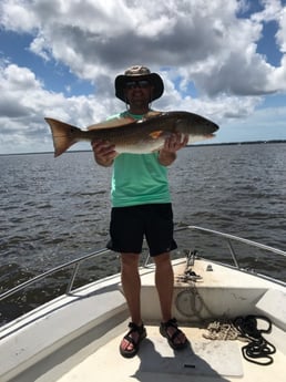 Redfish fishing in Freeport, Florida