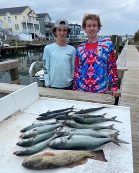 Bluefish, Redfish, Spanish Mackerel Fishing in Beaufort, North Carolina