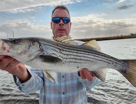 Striped Bass Fishing in Trails End Road, Wilmington, N, North Carolina
