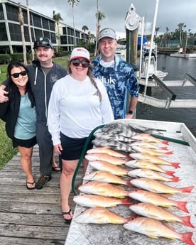 Lane Snapper, Sheepshead Fishing in Cape Coral, Florida