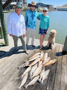 Black Drum, Redfish, Speckled Trout Fishing in Port O&#039;Connor, Texas