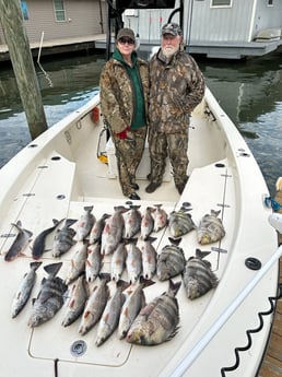 Black Drum, Blue Catfish, Redfish, Sheepshead Fishing in Boothville-Venice, Louisiana