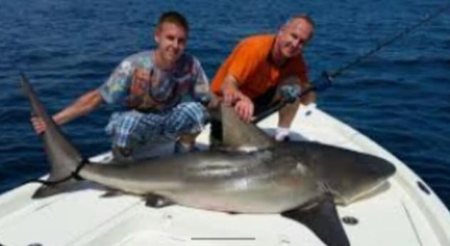 Blacktip Shark Fishing in Clearwater, Florida