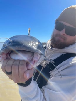 Fishing in DeSoto, Texas