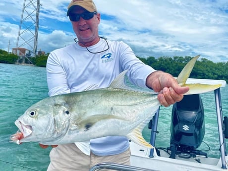 Jack Crevalle fishing in Tavernier, Florida