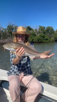 Redfish fishing in Summerland Key, Florida
