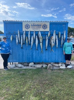 Barracuda, King Mackerel / Kingfish, Mahi Mahi / Dorado fishing in Port Orange, Florida