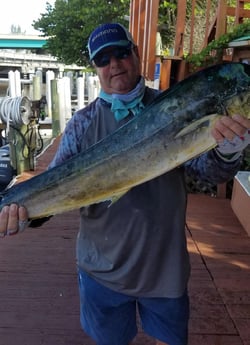 Mahi Mahi / Dorado fishing in Fort Lauderdale, Florida