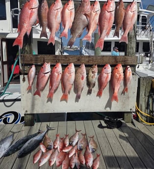 Fishing in Destin, Florida